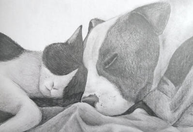 Untitled Untitled